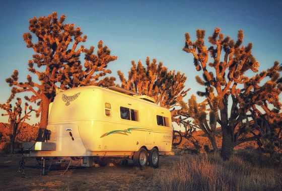 where to go camping from LA