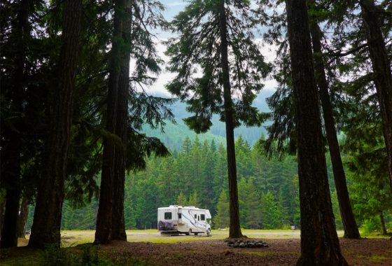 An RV camping in the National Forest