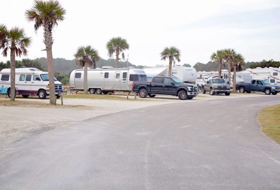 Several RVs parked at an RV park with palm trees around.