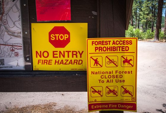 Signs about forest closures due to fire hazards.