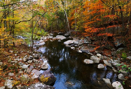 A canopy of yellow, red and orange fall colors over a river.