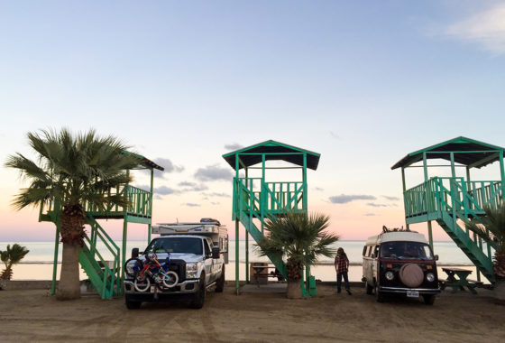 Green palapas line a beach with palm trees, truck camper, and a Westy.
