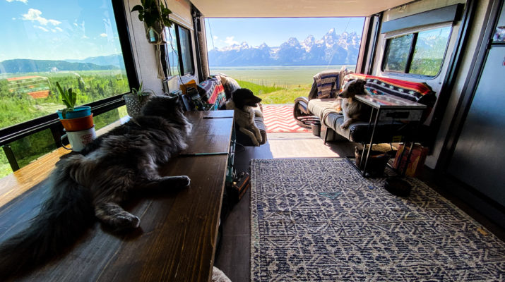 Pets lounging in an RV with back open to mountain views