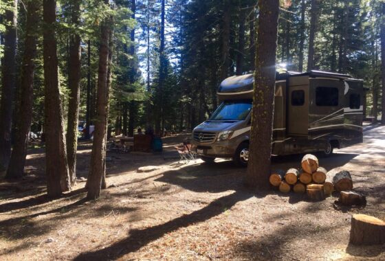 an rv is parked at a wooded campground with a camp chair and a pile of cut logs stacked nearby