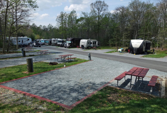 a campsite with several rvs parked
