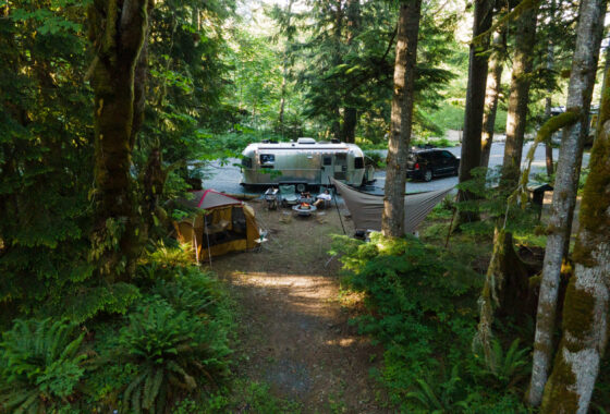 a campsite with an airstream, tent and hammock in the woods